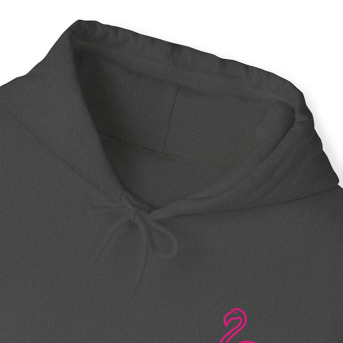 Get Your Pink Back - Hooded Sweatshirt
