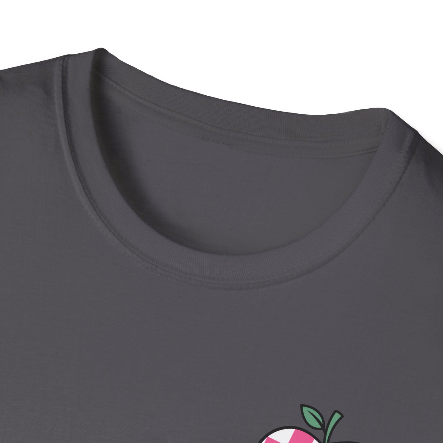 In My 100 Day of School ERA - Unisex Softstyle T-Shirt